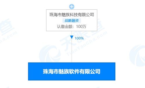 珠海市魅族軟件注銷 解讀其在計(jì)算機(jī)網(wǎng)絡(luò)及軟件技術(shù)開(kāi)發(fā)領(lǐng)域的轉(zhuǎn)型與影響